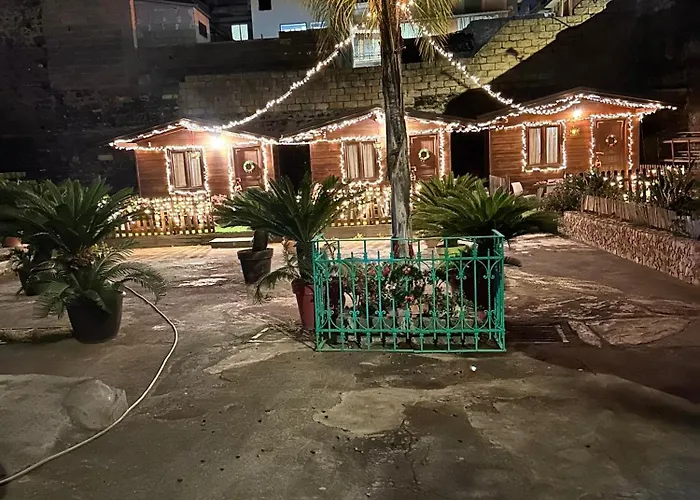 Garden Of Bitter